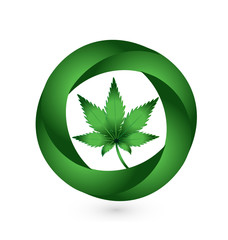 Cannabis leaf in circle swooshes vector icon design