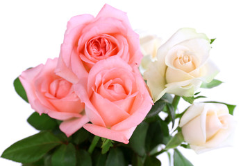 Fototapeta na wymiar beautiful roses, isolated on white