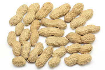 Dried peanut
