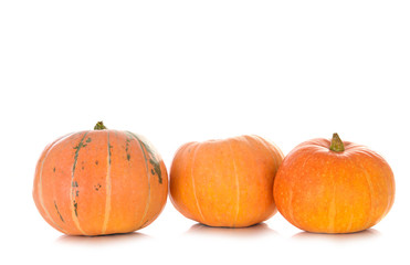 orange pumpkins on white background
