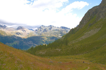 Mountain path, reaching for Grand Tournalin, Val D'Ayas - Alps