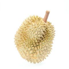 Durian fruit on wood background
