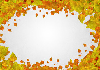 Autumn leaves