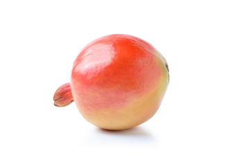 Red pomegranate  on white background