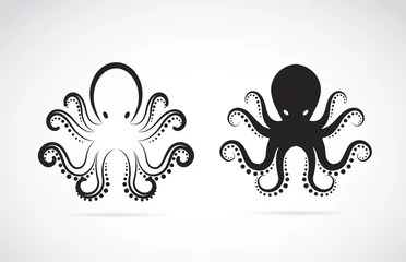 Fotobehang Vector of an octopus on white background. Animals. © yod67