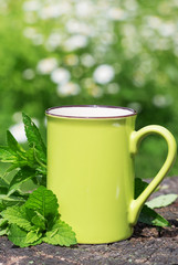 Cup of fresh tea