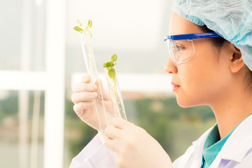 Examining sprouts