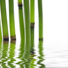 Fotobehang bamboe weerkaatst op het wateroppervlak © Mee Ting