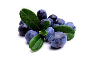 blueberries