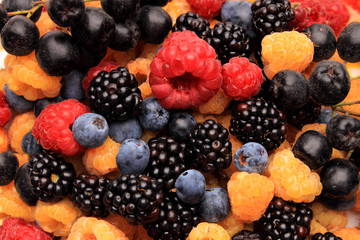 mixed berries