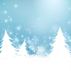 Fototapeta na wymiar weihnachtlicher Winterzauber Landschaft