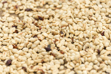Raw coffee beans