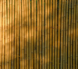 Bamboo fence use as background