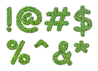 Collection of alphabet letter symbols from duckweed isolated on