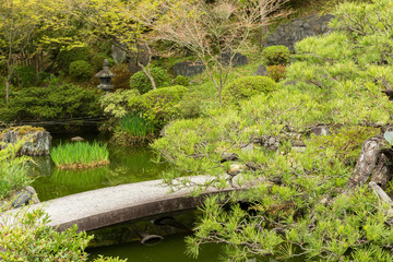 Fototapeta na wymiar Scenery Japanese garden