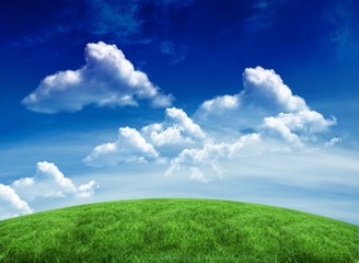 Green field under blue sky