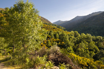 Garganta Eliza en la Sierra de Gredos.