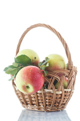 fresh apples