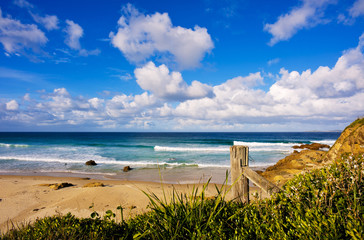 Beach View