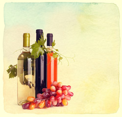 Bottles of wine and grapes