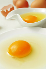 cracked chicken eggs
