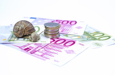 Snail on moneys