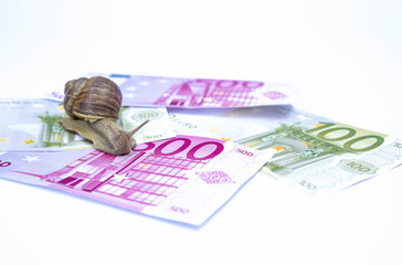 Snail on moneys © insanet_fotolia
