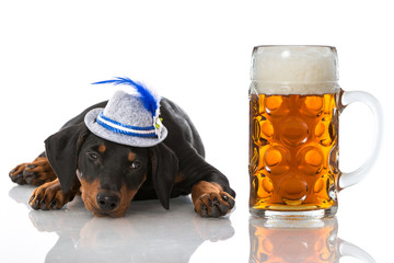 Welpe mit Tirolerhut und Bierkrug