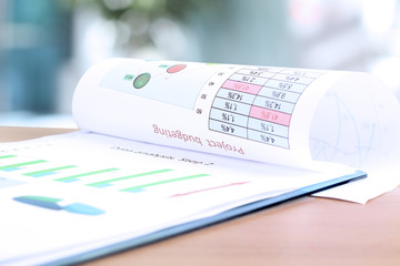 Fototapeta premium Business graph analysis report. Project Budgeting