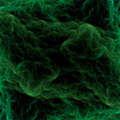 Bacteria under examination