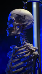 skeleton in blue light halloween scary