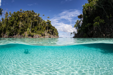 Tropical Islands and Shallow Water