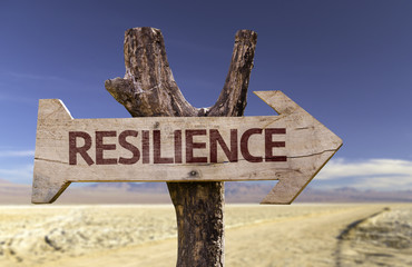 Resilience sign with a desert background