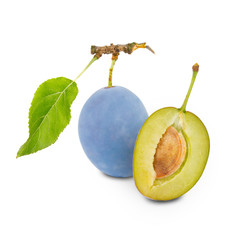 Plum isolated