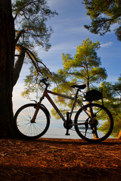 BICICLETTA IN SOSTA AL MARE