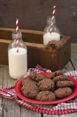 Chocolate oatmeal cookies, selective focus