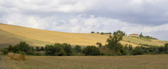 Val di Cornia panorama-Tuscany. Color image