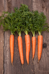 fresh carrot bunch on grungy wooden background