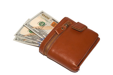 Money in brown purse isolated on white background