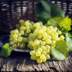 Fresh grapes. Toned image