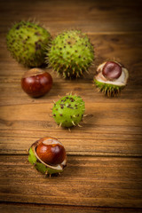 Autumn chestnut and acorn on table