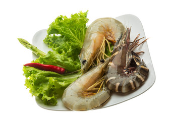 King and waterleg shrimps