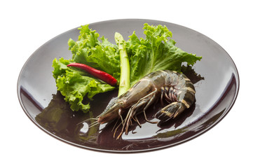 Tiger prawn
