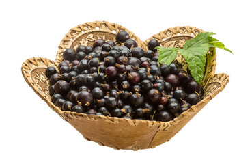 Black currant