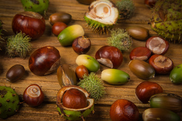 Autumn chestnut and acorn on table