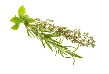 Fresh aroma herbs