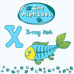 Colorful children's alphabet with animals, X-ray fish