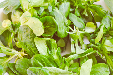 Retro look Corn salat