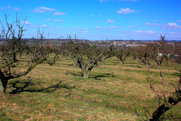 East Farleigh in Kent
