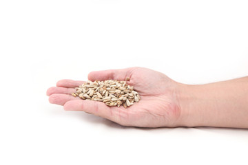 sunflower seeds on hand